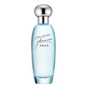 Pleasures Aqua Pleasures Aqua